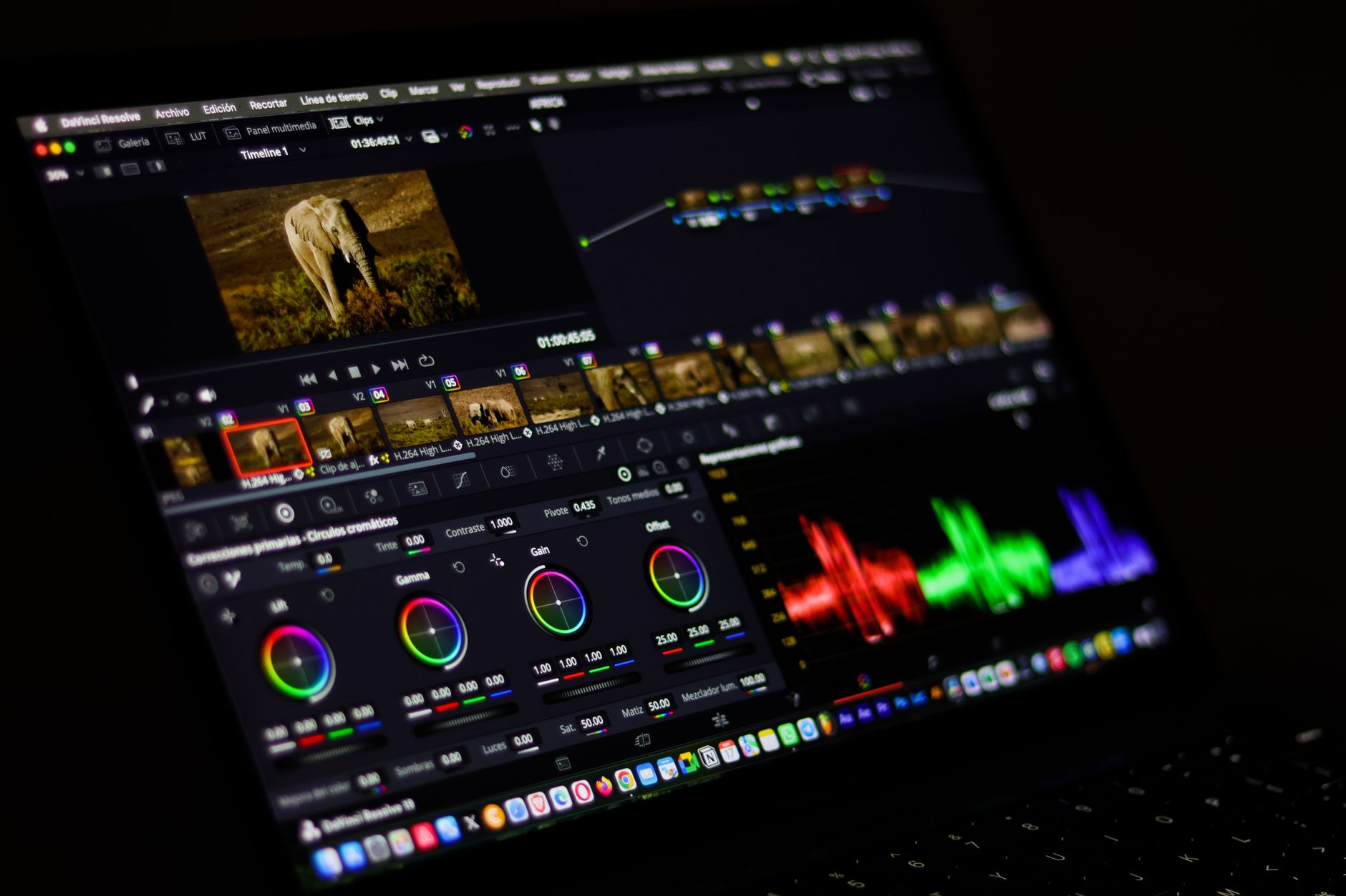 Editing program tracking timeline with multitrack sound waves